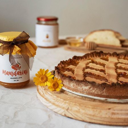 Bio-Agriturismo Masseria La Palombara 살베 외부 사진